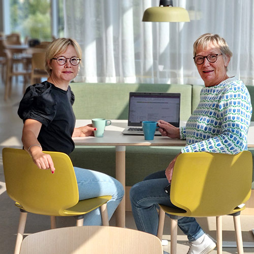 Anna Lundstedt och Eva Sundberg vid varsin laptop