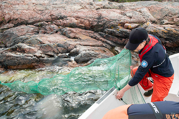 Kvinna i svart keps lägger i fisknät från båt med klipphällar i bakgrunden.