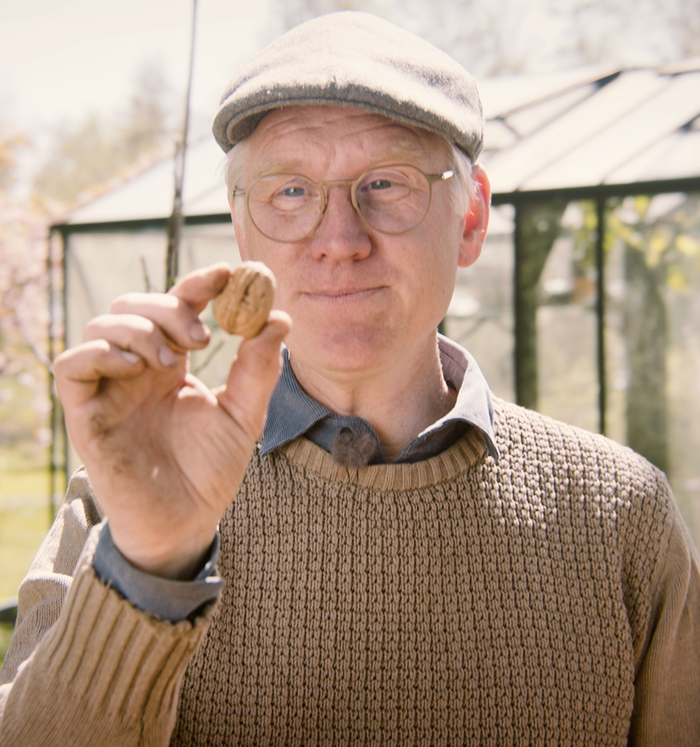 Göran Christiansson har stickad tröja och keps. Han håller i en valnöt framför ett växthus