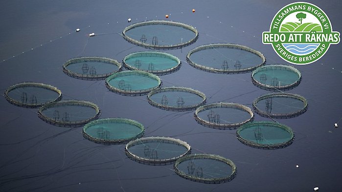 Bild på braxen med loggan för artikelserien ovanpå.