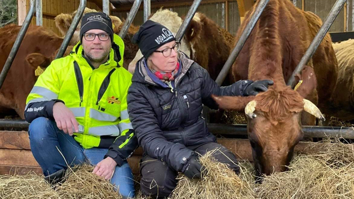 Peter Andersson och Hanna Viklund vid foderbord med bruna kor som äter hö.