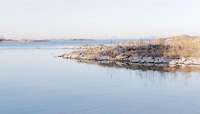 Vy över en skärdgårdsö