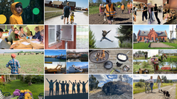 Collage med miniatyrbilder av aktiviteter.