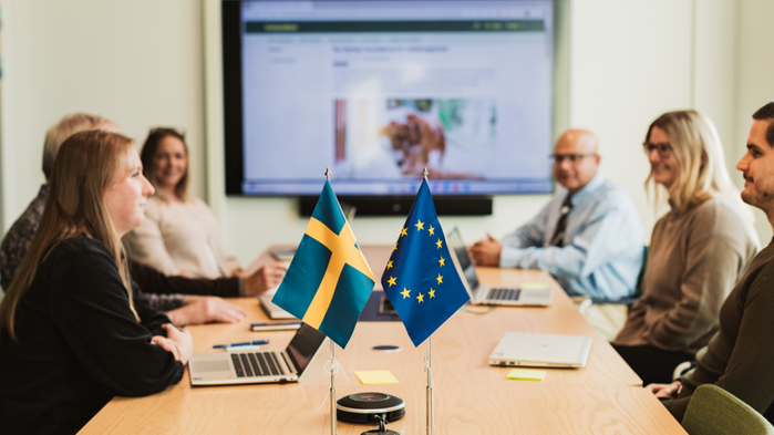 Personer som sitter i möte vid ett bord med EU-flaggan på