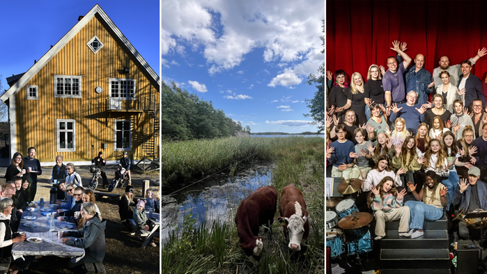 Kollagebild. Människor framför ett gult hus, kor vid ett vattendrag samt barn och vuxna på en scen.