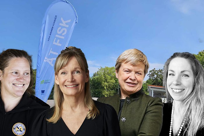 Bildmontage: Liv Mared, Åsa Domeij, Ingrid Undeland och Veronica Andrén. Bakgrund - en musselbank.