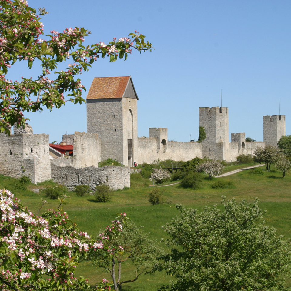 Visby ringmur.