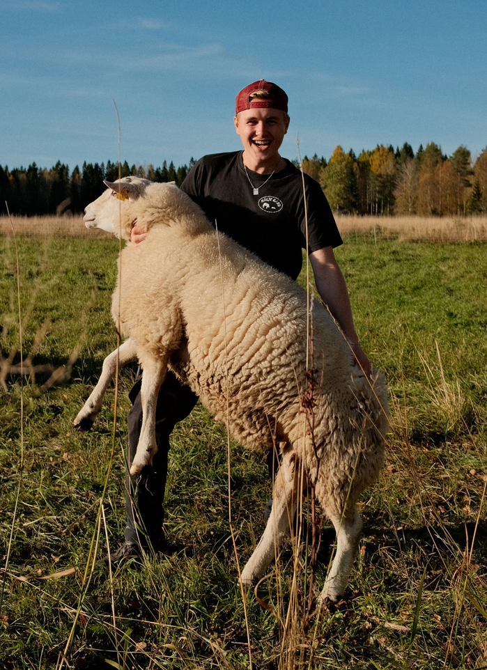 Harry Johansson håller i sitt vita får