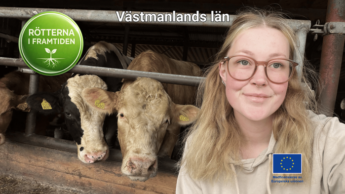 Katarina Nykvist med sin tjur i bakgrunden. 