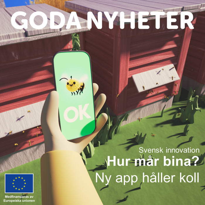 En mobiltelefon som fotar ett bi med en "OK"-stämpel på sig.