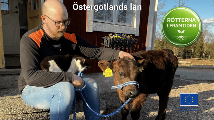 Aron Saldner sitter på trappen med en kalv i grimma