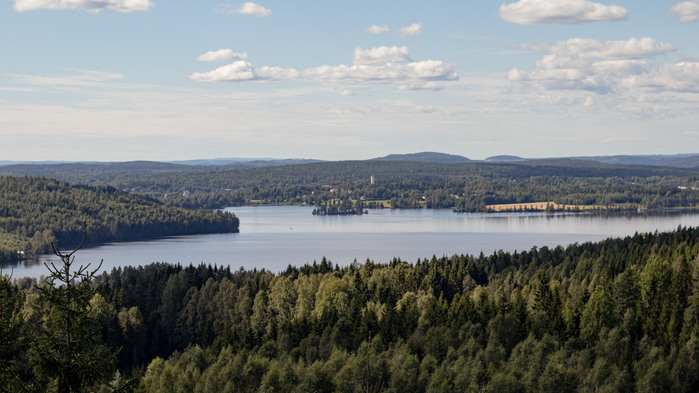 Sjö och skog i Molkom.