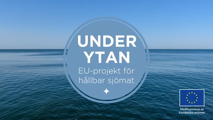 Foto på havsyta med logo ovanpå med texten "Under ytan - EU-projekt för hållbar sjömat" samt EU:s emblem.