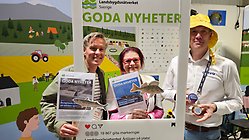 Carl Dahlberg, Teija Aho och Daniel Brännström